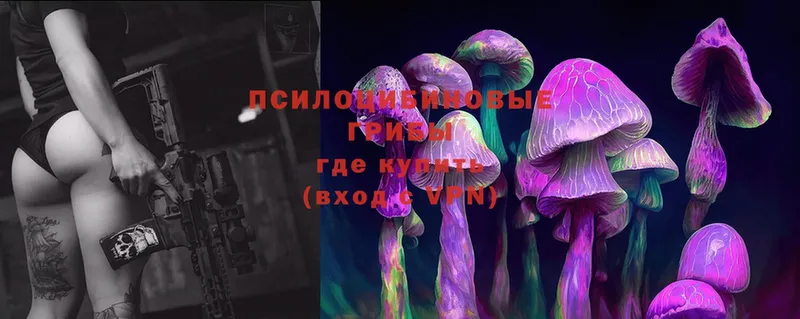 Псилоцибиновые грибы Magic Shrooms  купить   Изобильный 